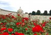 Tyne Cot Cemetery JS6